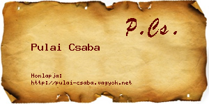 Pulai Csaba névjegykártya